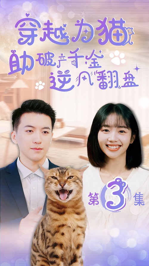 【基金投教】《穿越为猫：助破产千金逆风翻盘》系列短剧 第三集