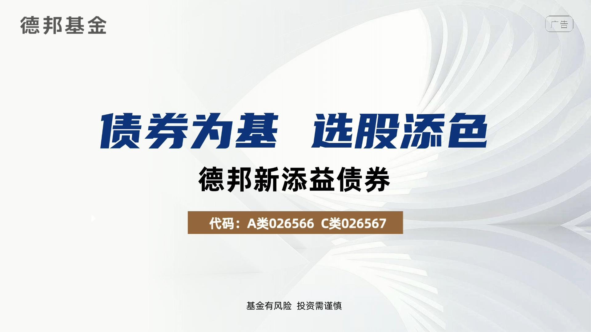 股债合理搭配  实力再度出击