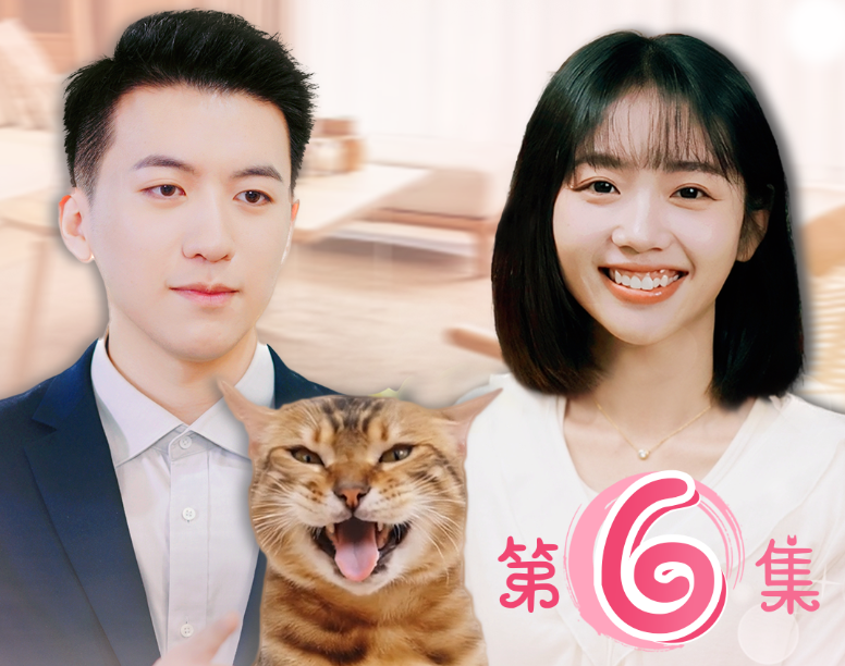 【基金投教】《穿越为猫，助破产千金逆风翻盘》系列短剧 第六集