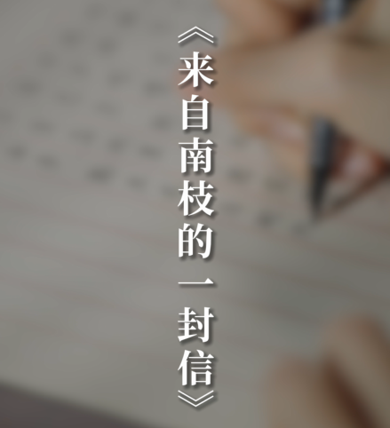 【深交所投教】深交所投教公益视频-《来自南枝的一封信》