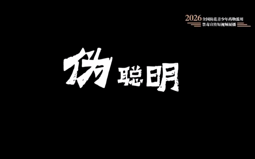 伪聪明